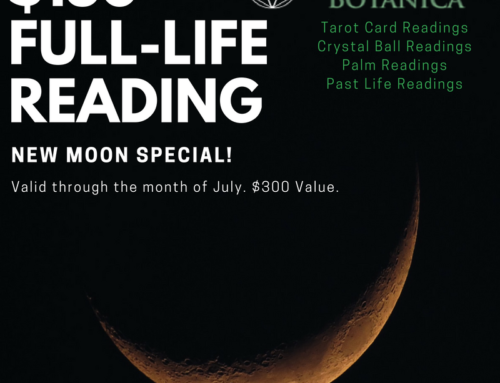 New Moon Special