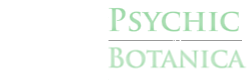 Psychic & Botanica in Tucson Logo